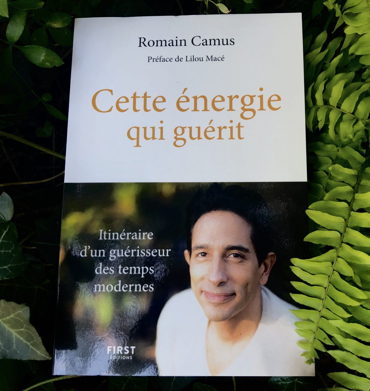 Cette énergie qui guérit – Itinéraire d’un guérisseur des temps modernes